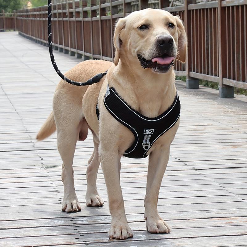 Reflective No Pull Dog Harness for Medium/Large Breeds - Adjustable Straps