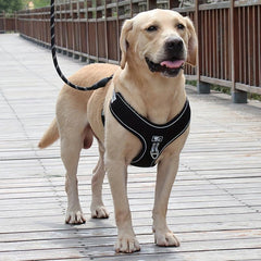 Reflective No Pull Dog Harness for Medium/Large Breeds - Adjustable Straps
