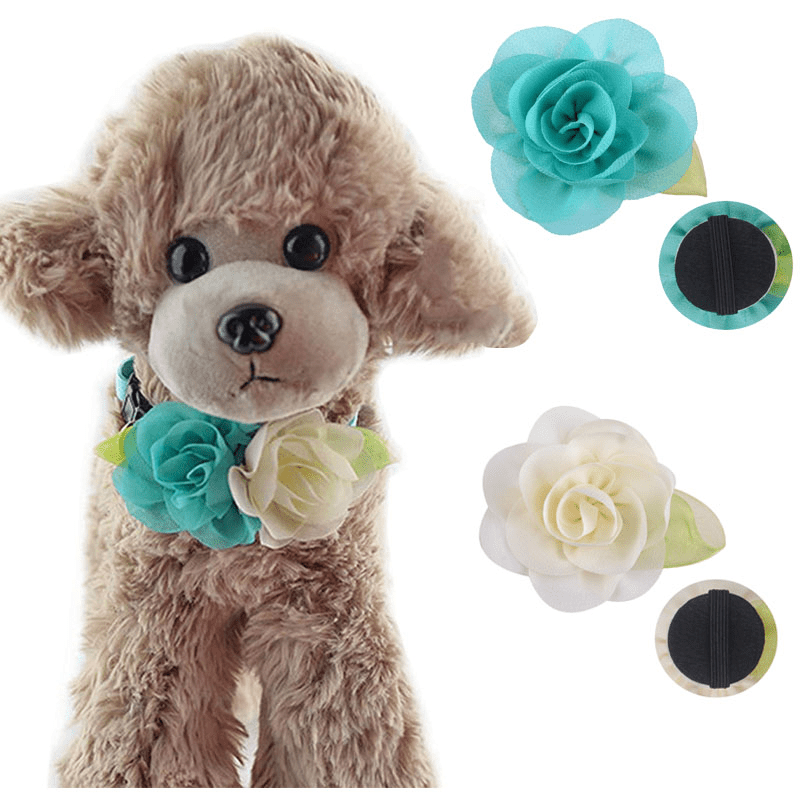 Adjustable Flower Pet Collar with Charm