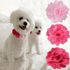 Adjustable Flower Pet Collar with Charm