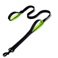 Double Handled Nylon Dog Leash for Training and Walks