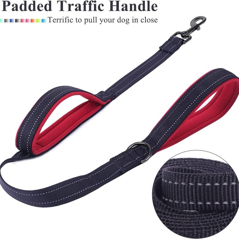 Double Handled Nylon Dog Leash for Training and Walks