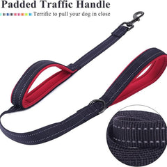 Double Handled Nylon Dog Leash for Training and Walks
