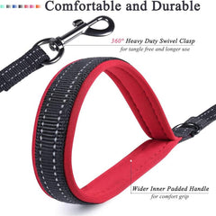 Double Handled Nylon Dog Leash for Training and Walks