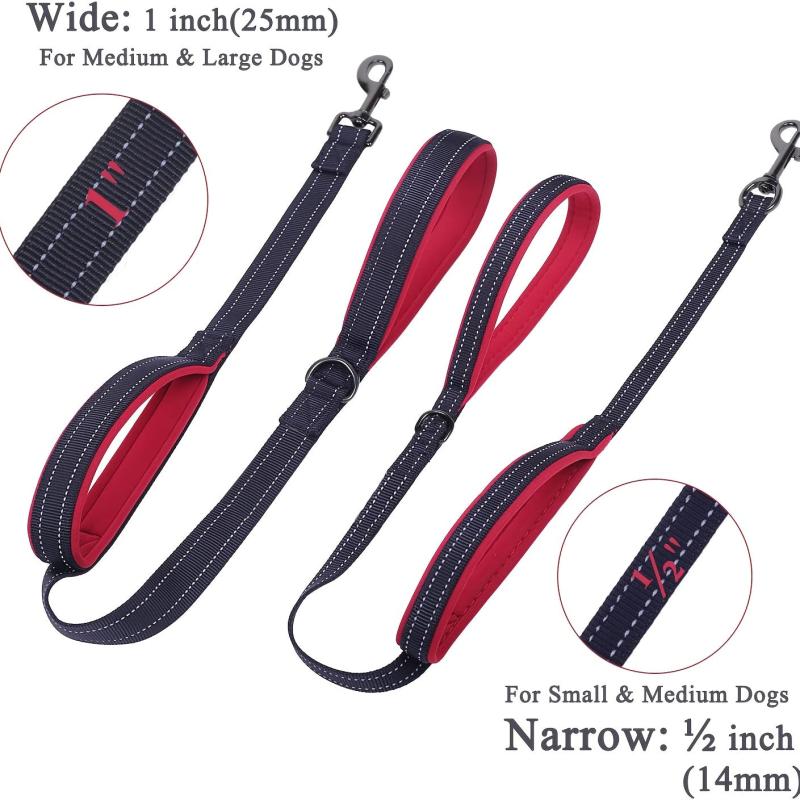 Double Handled Nylon Dog Leash for Training and Walks