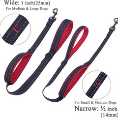 Double Handled Nylon Dog Leash for Training and Walks