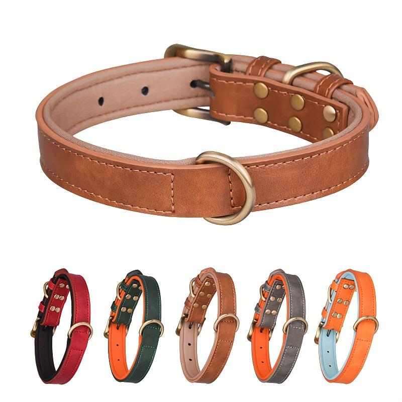 Personalized Anti Lost Leather Dog Collar with Soft Padding
