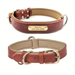 Personalized Anti Lost Leather Dog Collar with Soft Padding