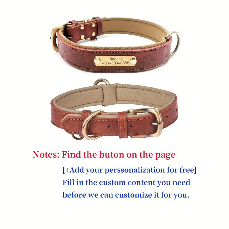 Personalized Anti Lost Leather Dog Collar with Soft Padding