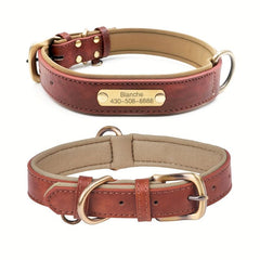 Personalized Anti Lost Leather Dog Collar with Soft Padding