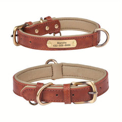 Personalized Anti Lost Leather Dog Collar with Soft Padding