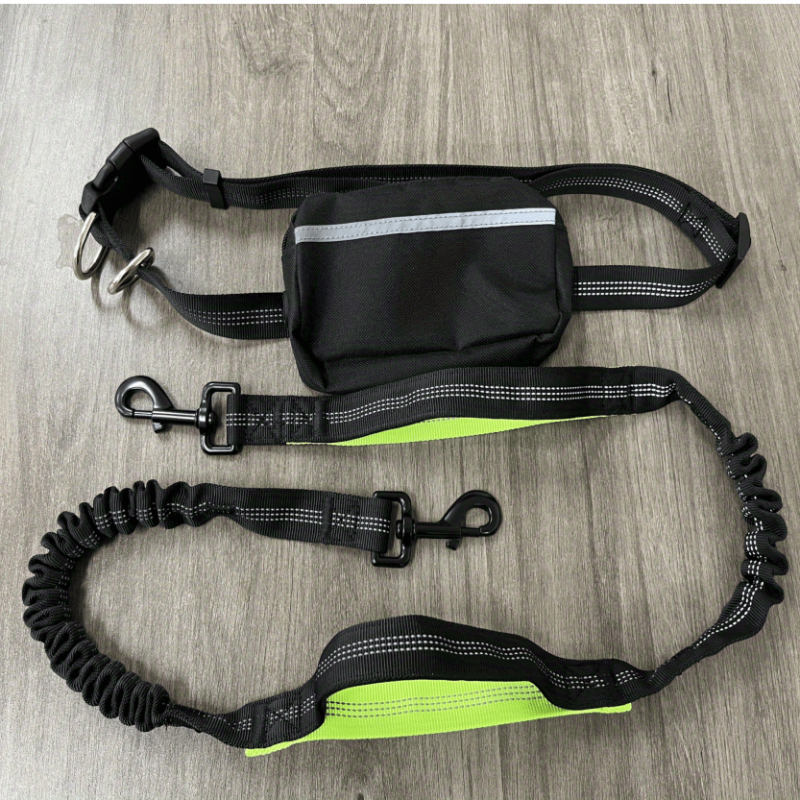 Reflective Bungee Dog Leash with Waist Bag