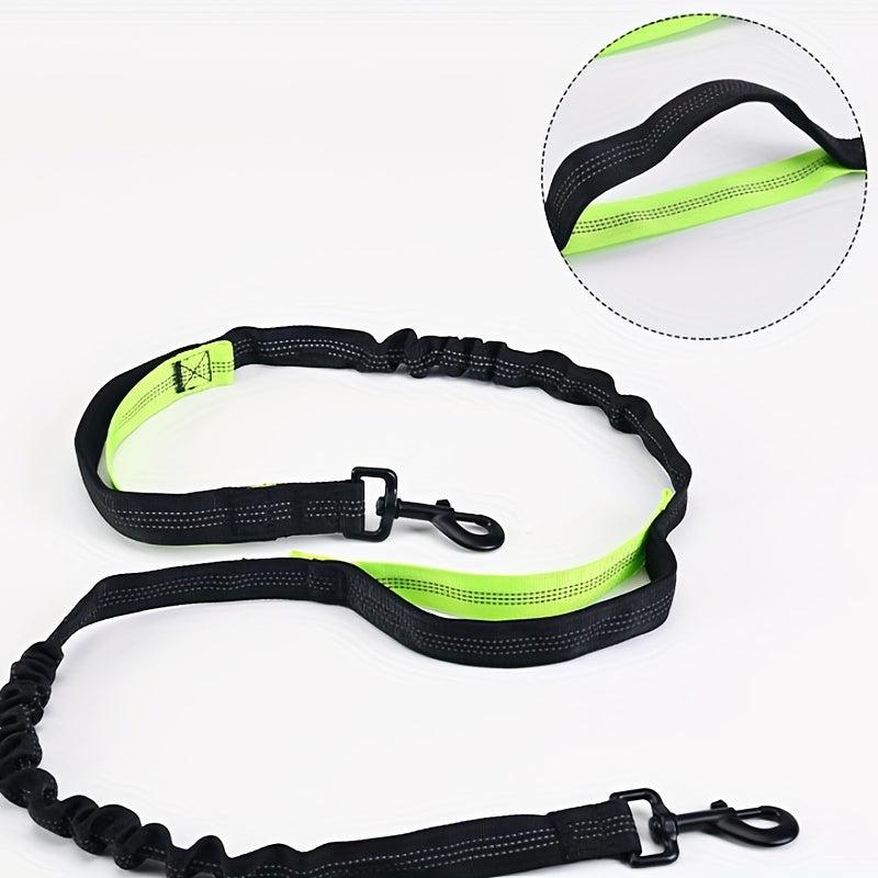 Reflective Bungee Dog Leash with Waist Bag