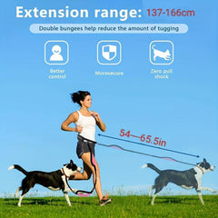 Reflective Bungee Dog Leash with Waist Bag