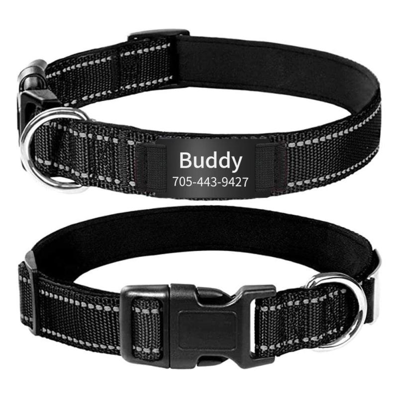 Custom Reflective Dog Collars with Engraved ID Nameplate