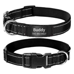 Custom Reflective Dog Collars with Engraved ID Nameplate