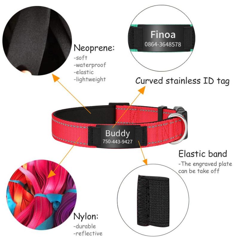 Custom Reflective Dog Collars with Engraved ID Nameplate