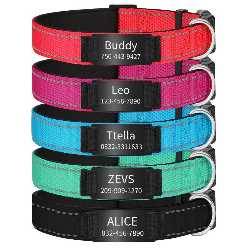 Custom Reflective Dog Collars with Engraved ID Nameplate