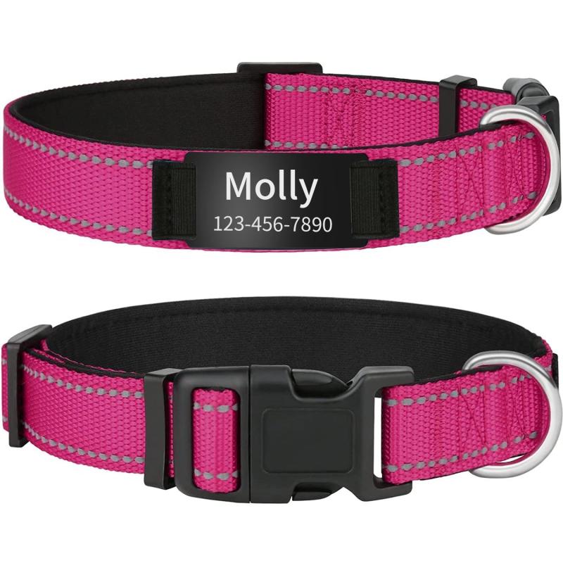 Custom Reflective Dog Collars with Engraved ID Nameplate