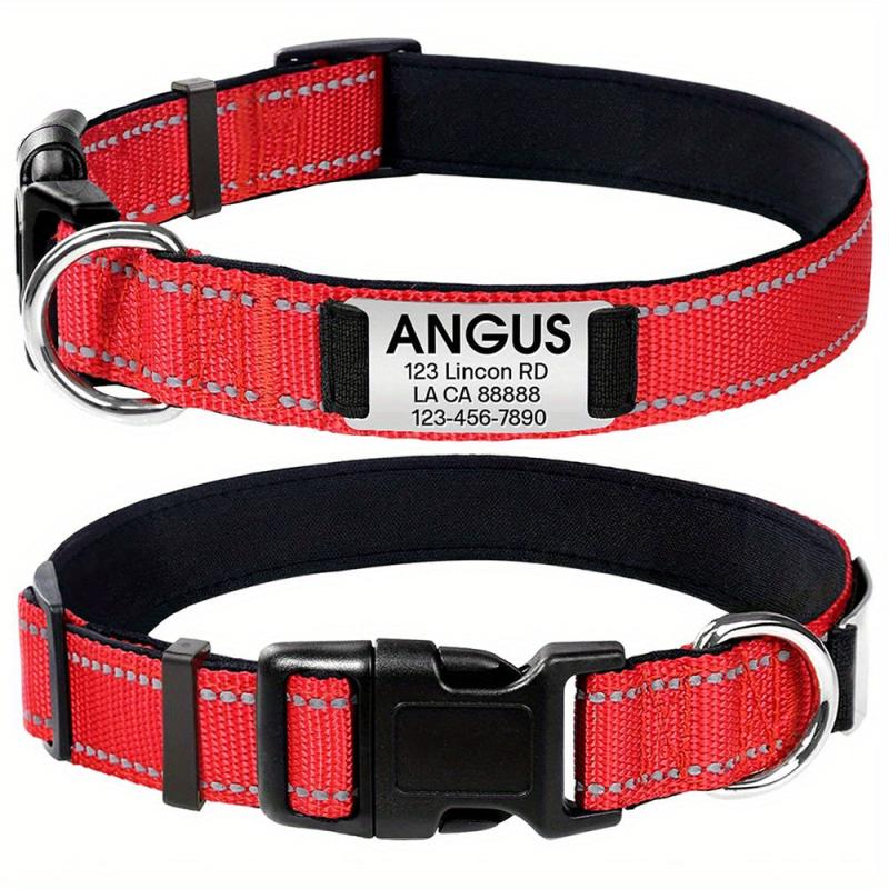 Personalized Reflective Dog Collar with Name Plate