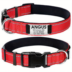 Personalized Reflective Dog Collar with Name Plate