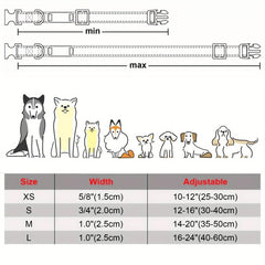 Personalized Reflective Dog Collar with Name Plate