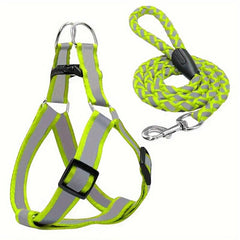 Reflective Nylon Dog Harness & Leash Set for Small Medium Dogs