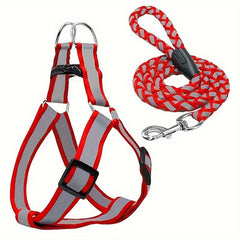 Reflective Nylon Dog Harness & Leash Set for Small Medium Dogs
