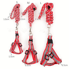 Reflective Nylon Dog Harness & Leash Set for Small Medium Dogs
