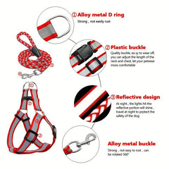 Reflective Nylon Dog Harness & Leash Set for Small Medium Dogs