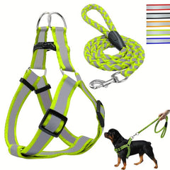 Reflective Nylon Dog Harness & Leash Set for Small Medium Dogs