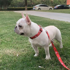 Christmas Dog Collar for Small Medium Large Dogs