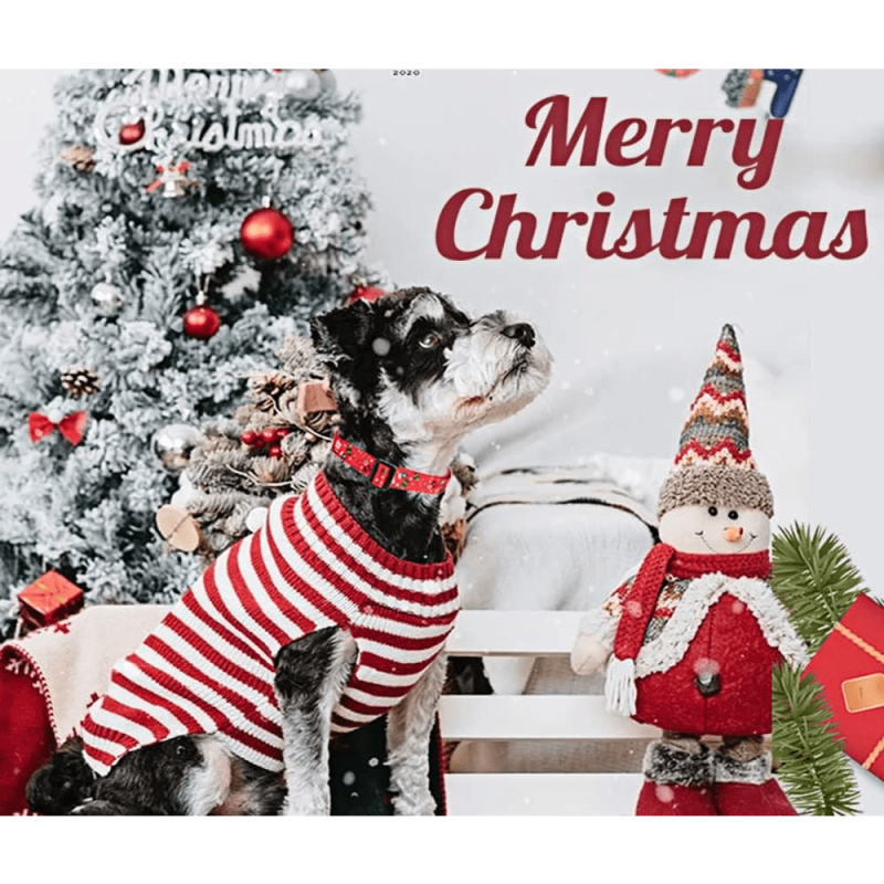 Christmas Dog Collar for Small Medium Large Dogs