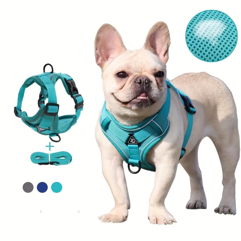 Reflective Dog Chest Strap w/ Rope Leash for Small & Medium Dogs