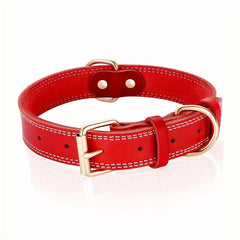 Heavy Duty Leather Dog Collar for Small, Medium, Large Dogs