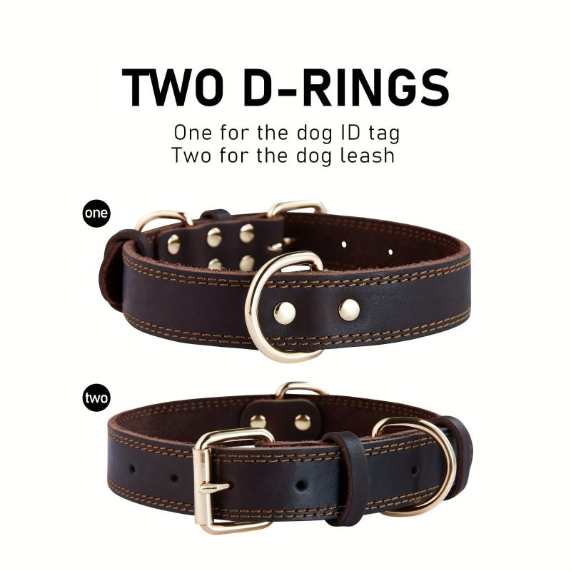 Heavy Duty Leather Dog Collar for Small, Medium, Large Dogs