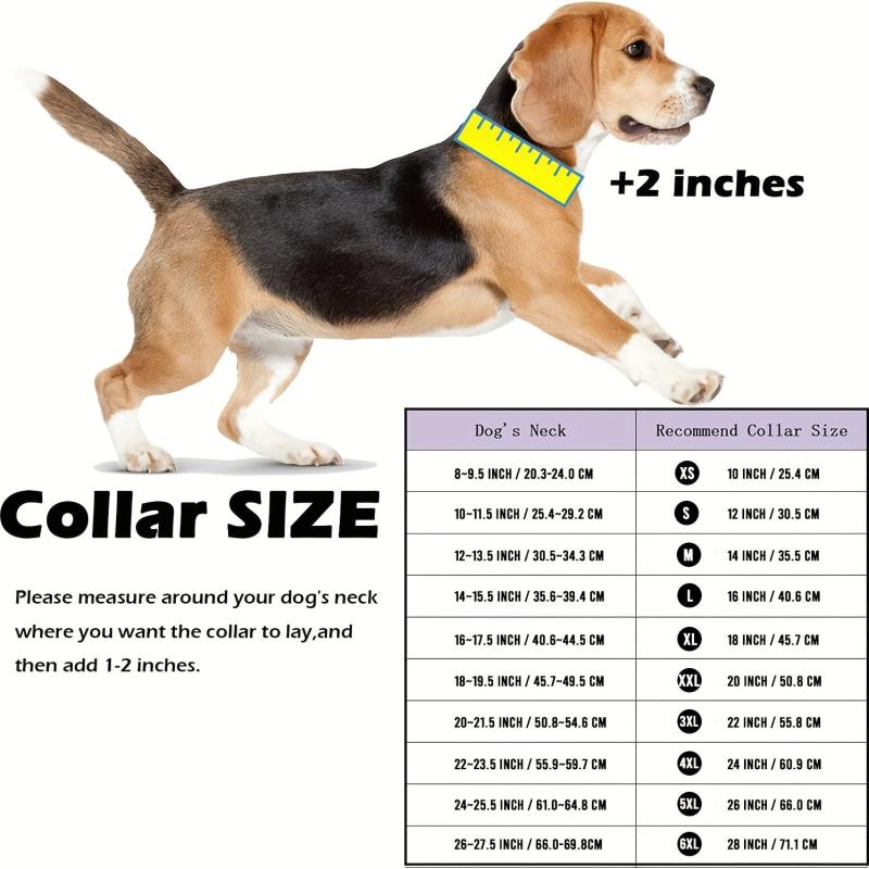 15mm Dog Chain Collar Secure Buckle Strong Heavy Duty Small Dogs