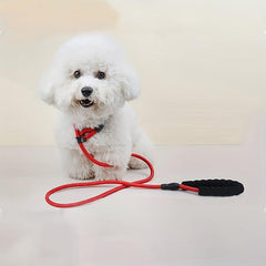 Reflective Dog Lead Rope for Mountain Climbing & Running