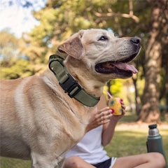 Tactical Dog Collar Heavy Duty Military Dog Collars Adjustable