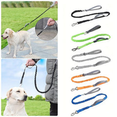 Heavy Duty Dog Leash Multifunctional Pet Leash