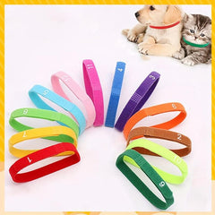 12Pcs Newborn ID Collars for Small Medium Large Dogs