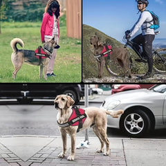 Reflective Explosion Proof Harness for Dogs in 9 Colors