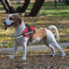 Reflective Explosion Proof Harness for Dogs in 9 Colors