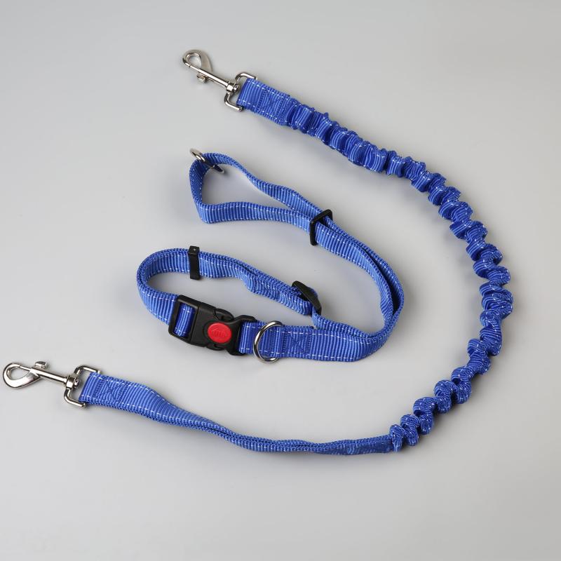 Adjustable Hands-Free Dog Leash for Safe Runs