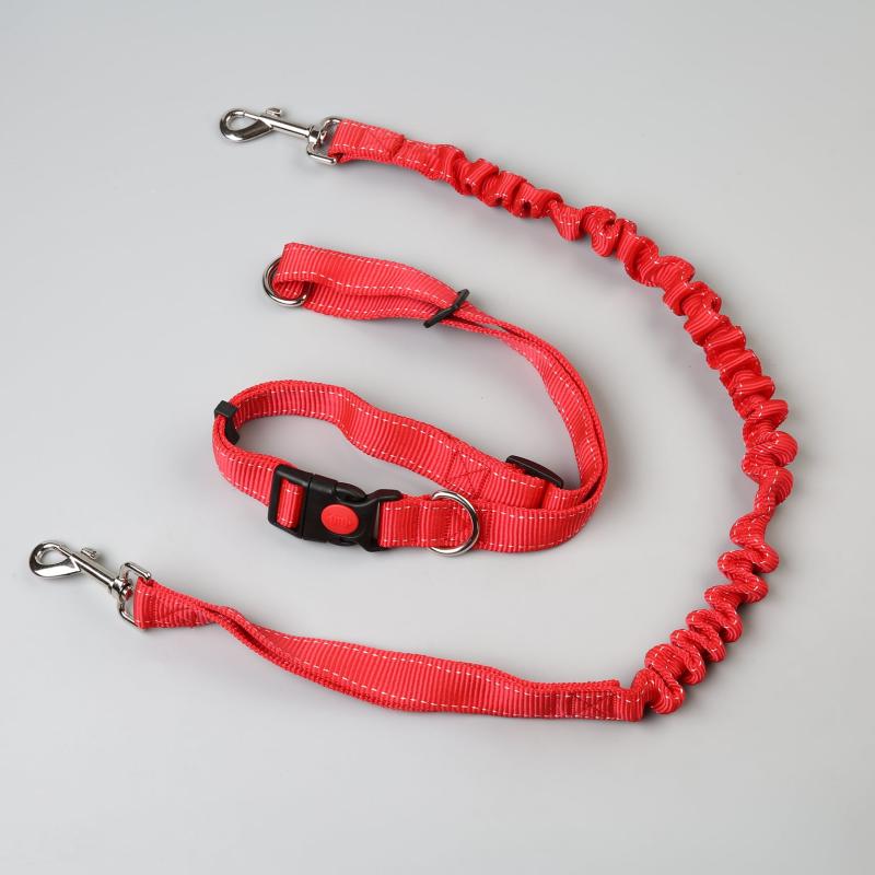 Adjustable Hands-Free Dog Leash for Safe Runs