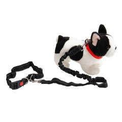 Adjustable Hands-Free Dog Leash for Safe Runs