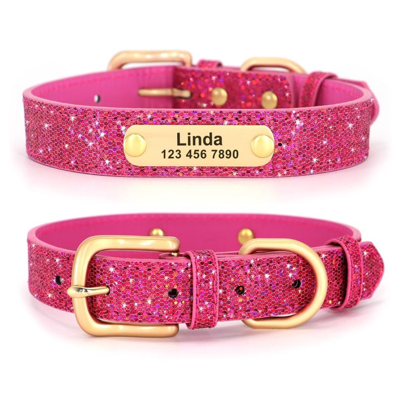 Glitter Anti-Lost Dog Collar w/ ID, Adjustable, for Small, Medium, Large