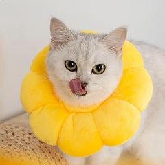 Soft Plush Elizabethan Collar for Cats and Puppies