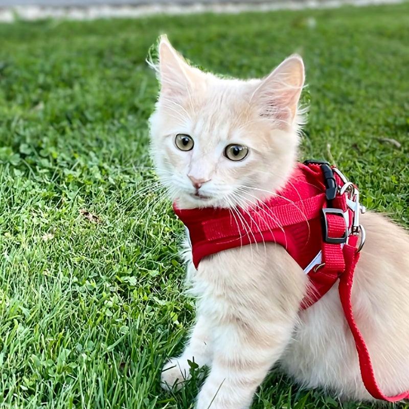 Escape Proof Cat Harness And Leash Set - Soft Adjustable Reflective Strap