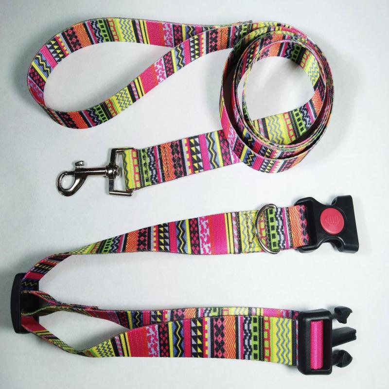 Multifunctional Dog Leash and Collar Set for Training & Walks